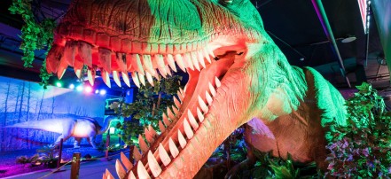 Экскурсия «Приключения с динозаврами» в Dino Club: Фото 8