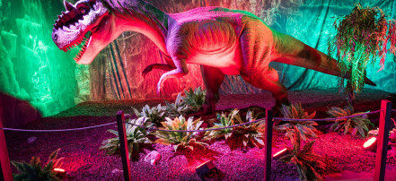 Экскурсия «Приключения с динозаврами» в Dino Club: Фото 9