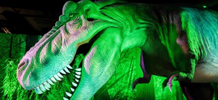 Экскурсия «Приключения с динозаврами» в Dino Club: Фото 2