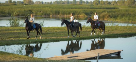 Конные прогулки и обучение верховой езде в Саратове: Фото 4