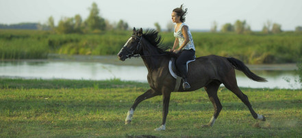 Конные прогулки и обучение верховой езде в Саратове: Фото 3