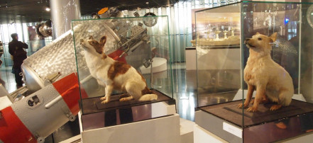 Индивидуальная экскурсия с посещением Мемориального музея космонавтики в Москве: Фото 5