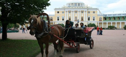 Автобусная экскурсия в резиденцию императора Павла I — Павловск из Санкт-Петербурга: Фото 3