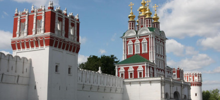 Пешеходная экскурсия в Новодевичий монастырь и по Новодевичьему кладбищу в Москве: Фото 5