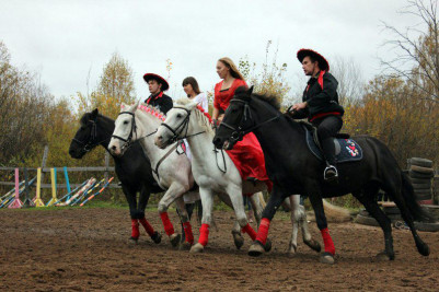 Аренда лошади на мероприятие в Перми