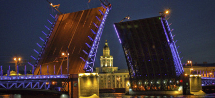 Прогулка на теплоходе «Истории разводных мостов» в Санкт-Петербурге: Фото 7