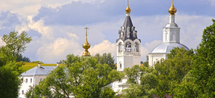 Свято-Никольский Волосовский женский монастырь в с. Волосово: Фото 4
