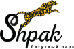 Логотип: Shpak-батутный парк
