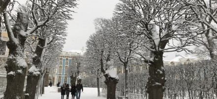 Автобусная экскурсия в Пушкин с посещением Екатерининского дворца (без очереди) и Янтарной комнаты: Фото 5