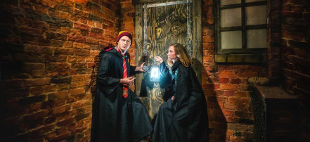 Гарри Поттер и Заклятие темной печати: Фото 2
