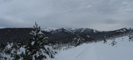 Снегоходный тур «Покорение уральских вершин» в Уфе: Фото 8