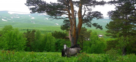 Экскурсионный тур в Адыгею из Краснодара: Фото 4