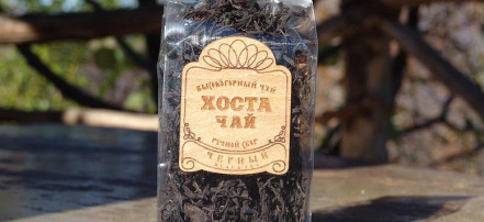 «Хостинский чай — производственная экскурсия с дегустацией» из Сочи или Адлера: Фото 2