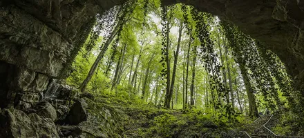 Обложка: Автомобильная экскурсия «Воронцовские пещеры» в Сочи