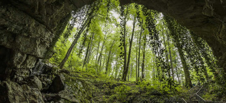 Автомобильная экскурсия «Воронцовские пещеры» в Сочи: Фото 1