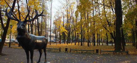 Обзорная экскурсия по Смоленску: Фото 1