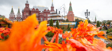 Сборный экскурсионный тур «Золотая Москва осень-зима 2019»: Фото 3