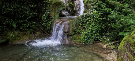 Автомобильная экскурсия «33 водопада» из Сочи и Адлера: Фото 4