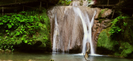 Автомобильная экскурсия «33 водопада» из Сочи и Адлера: Фото 5