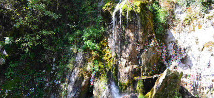 Индивидуальная автобусная экскурсия в Абхазию из Сочи на озеро Рица и водопады: Фото 6