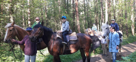 Конные прогулки для взрослых и детей в Ярославле: Фото 5