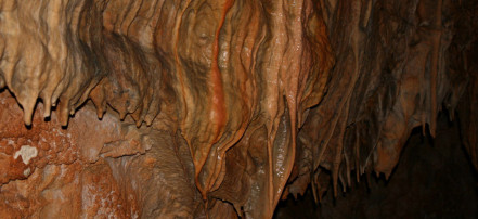 Спелео-тур в пещеру Охотничья из Иркутска: Фото 4