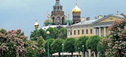 Автомобильная обзорная экскурсия с частным гидом по Санкт-Петербургу: Фото 7