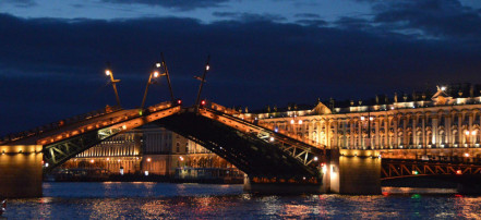 Ночная автомобильная экскурсия с частным гидом по мостам Санкт-Петербурга