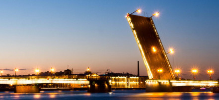 Ночная автомобильная экскурсия с частным гидом по мостам Санкт-Петербурга: Фото 3
