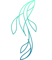 Логотип: «SDIVE»
