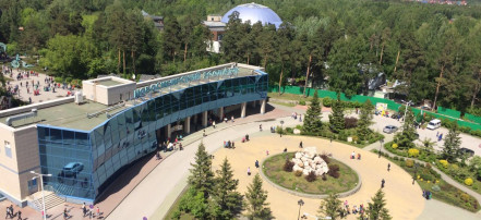 Автобусная экскурсия в Новосибирский зоопарк с посещением «Термы Мира. Сосновый бор»: Фото 3