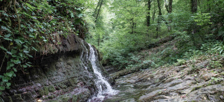 Фотоэкстрим тур в Долину Водопадов (малый круг) в Сочи: Фото 2