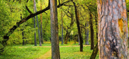 Пешеходная экскурсия «Зеленая роща — самый загадочный парк и его окрестности» в Екатеринбурге