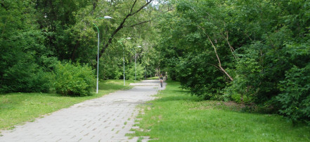 Пешеходная экскурсия «Зеленая роща — самый загадочный парк и его окрестности» в Екатеринбурге: Фото 4