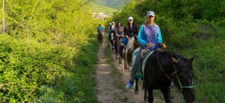 Конная прогулка в Анапе по большому кругу: Фото 4