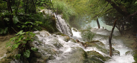 Конная прогулка к Самшитовым водопадам в Сочи: Фото 4