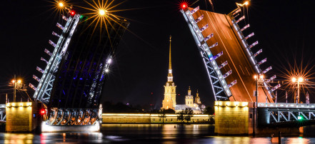 Экскурсия на развод мостов в Санкт-Петербурге на теплоходе: Фото 3