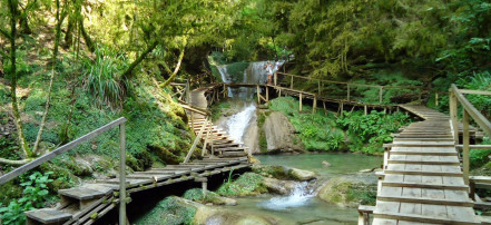 Групповая экскурсия «33 водопада» в Сочи: Фото 4