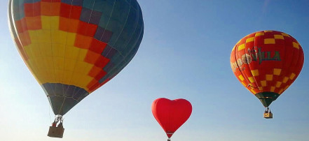 Индивидуальный полет на воздушном шаре «Роза» из Уссурийска: Фото 4