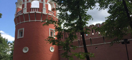 Пешая экскурсия в Московский Донской монастырь и его некрополь