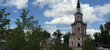 Пешая экскурсия в Московский Донской монастырь и его некрополь: Фото 5