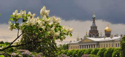 Весенние каникулы в Санкт-Петербурге для школьников