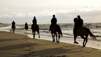 Экскурсионная прогулка на лошадях во Владивостоке по берегу Уссурийского залива