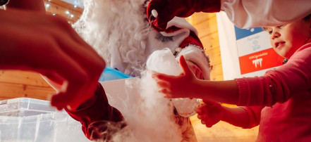 Новогодняя программа для детей «Резиденция Деда Мороза» в Красноярске
