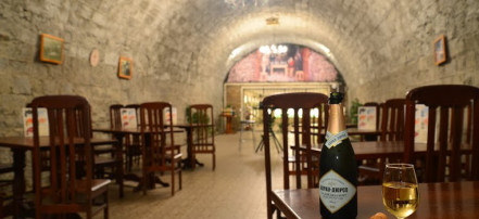 Экскурсия в Абрау-Дюрсо из Краснодара с дегустацией шампанского: Фото 5