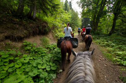 Индивидуальная конная прогулка в Саратове