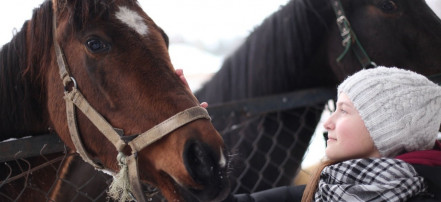Детская экскурсия «В гости к лошадкам» по конному клубу в Саратове с прогулкой на лошадях: Фото 3