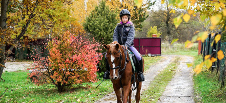 Детская экскурсия «В гости к лошадкам» по конному клубу в Саратове с прогулкой на лошадях: Фото 2