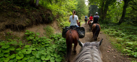 Групповая прогулка на лошадях в Саратове: Фото 4