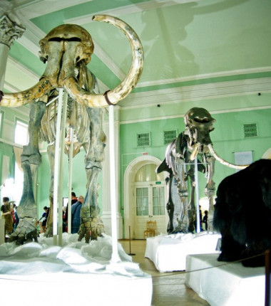 ТОП-5 музеев Новосибирска